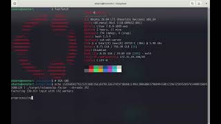 [rusqsieve] RSA-100 330-bit SIQS Integer Factorization within 1min