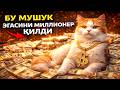 Бу Мушук Эгасини Миллионер Қилди #asmr #trend #Uzb #rek #shorts #uzb #viral #kino #news #film