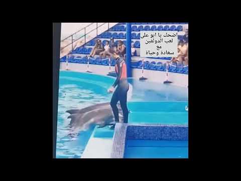 أغنية أضحك يا ابو على ولعب الدولفين واشتركوا مع سعادة وحياة