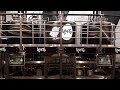 1000 liter brewery by zip tech