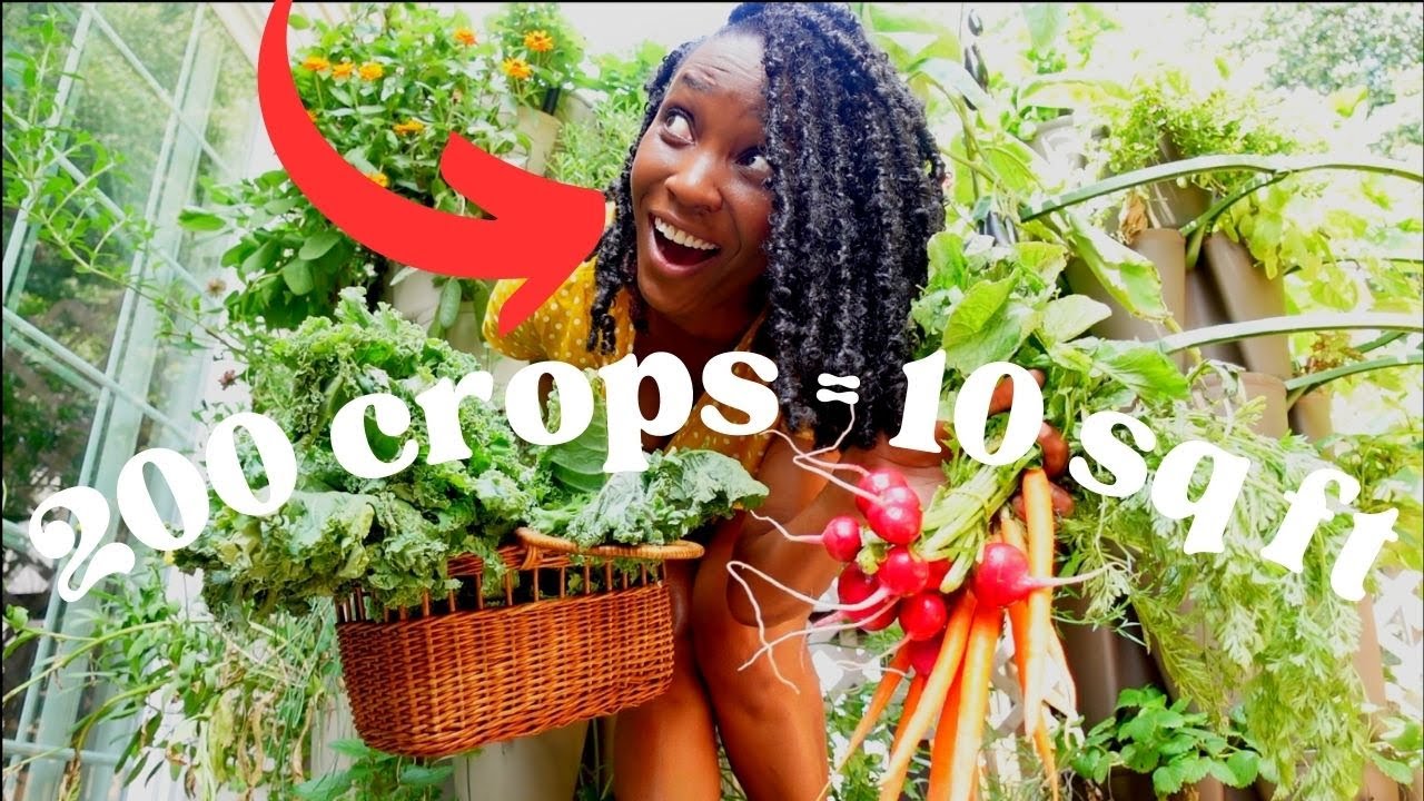 ОНА выращивает на террасе КУЧУ еды КАЖДУЮ НЕДЕЛЮ! Летний урожай в саду