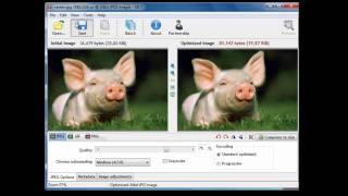 Image Optimization Tool (RIOT)