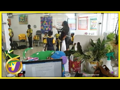 New Approach to Learning | TVJ News - Dec 11 2021