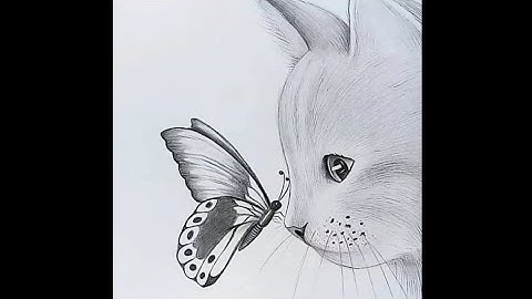 How to draw a cat with butterfly || step by step drawing tutorial || pencil sketch for beginners