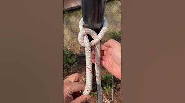 The KING of Knots For Ever!