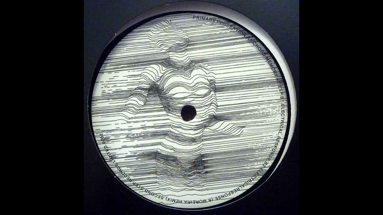 Primary Perception - Electrical Response (S Moreira Remix)