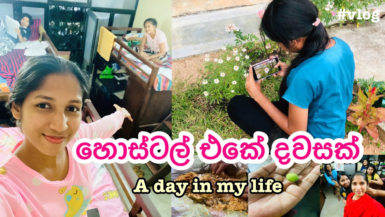 Hostel Vlog - University of Peradeniya [ Mahakanda Hostel ] | ​⁠​⁠@EDUwithDULANKA  #hostellife