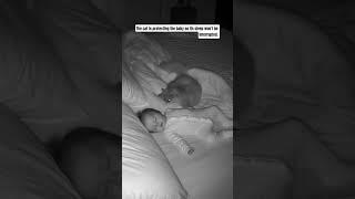 The Cat Is Protecting The Baby So Its Sleep Wont Be Interrupted.