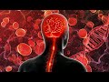 Alpha Waves Heal The Whole Body While You Sleep, Eliminate Stress, Stop Thinking Too Much - 528 HZ