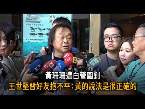 黃珊珊遭白營圍剿 王世堅替好友抱不平：黃的說法是很正確的