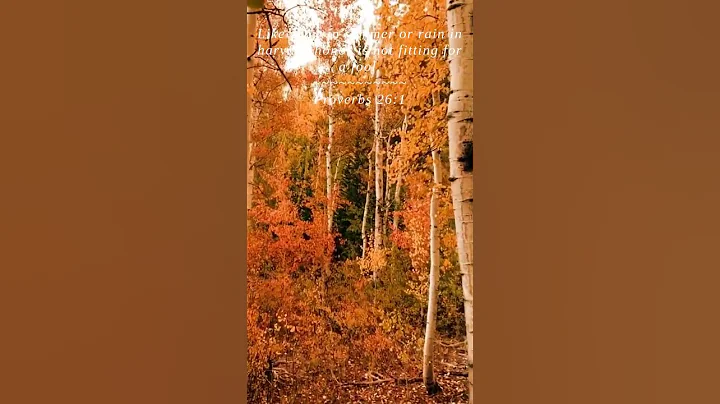 Bible | Proverbs 26:1 | Like snow in summer or rain in...