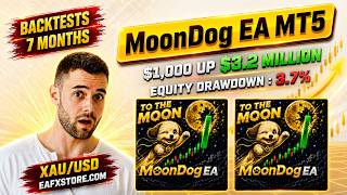 MoonDog EA MT5 Review | Max drawdown 3.7% | FX STORE EA