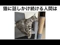 【雑学】人間という動物に関する雑学