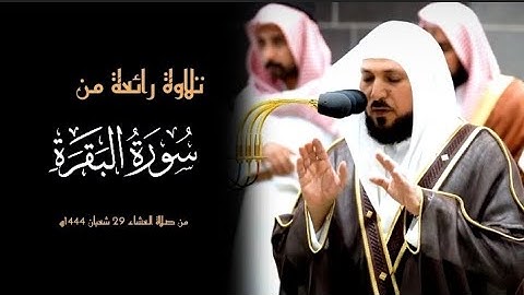 آيات الصيام يتلوها بأداء رائع فضيلة الشيخ د.#ماهر_المعيقلي من صلاة العشاء 29شعبان 1444ه‍ سورة البقرة