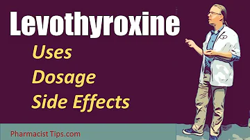 What does levothyroxine sodium do?