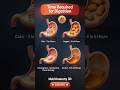 How Long Does It Take to Digest Different Foods?