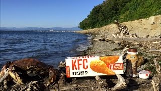 KFC $5 Fill Ups (Extra Crispy Tenders & Kentucky Baked Beans) Review