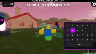 My backdoor scanner executor #roblox #serverside #exploit #hack