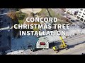 Christmas Tree Installation - Happy Holidays