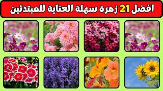 افضل 21 ازهار سهلة العناية للمبتدئين|نباتات داخلية سهلة العناية