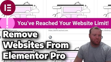 Remove Websites From Elementor Pro Subscription