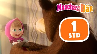 Mascha und der Bär 🤩In unserem Wald wird es nie langweilig 🤩1 Std ⏰ Sammlung 39 🎬 Masha and the Bear