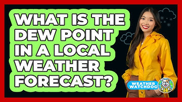 What Is The Dew Point In A Local Weather Forecast? - Weather Watchdog
