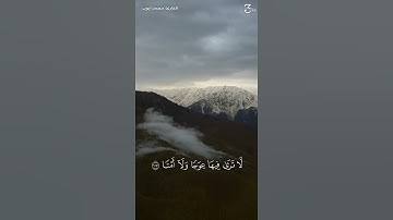 ﴿ وَيَسأَلونَكَ عَنِ الجِبالِ فَقُل يَنسِفُها رَبّي نَسفًا ﴾ | استغفر الله | #محمد_أيوب #سورة_طه