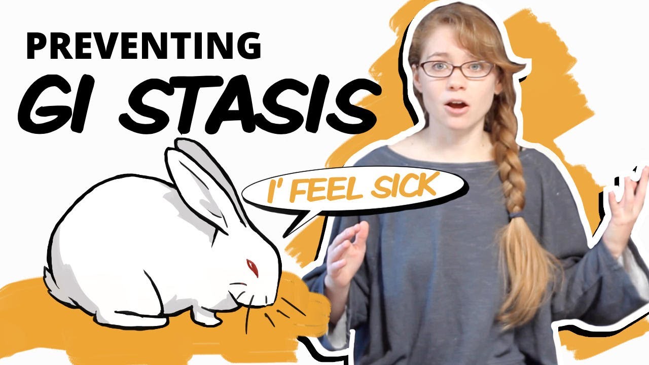 gi-stasis-know-the-signs-before-it-s-too-late-youtube