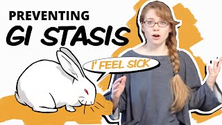 GI Stasis: Know the Signs (Before it