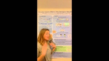 Circular Exonic RNA in the Xenopus Oocyte-Nicole Bush NSF REU 2015