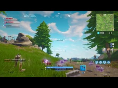 Fortnite with friends
