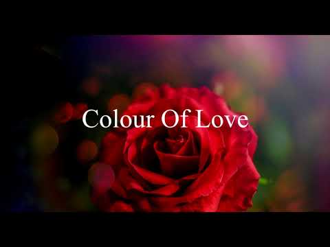 The Colour Of Love | Spoken Word Poetry