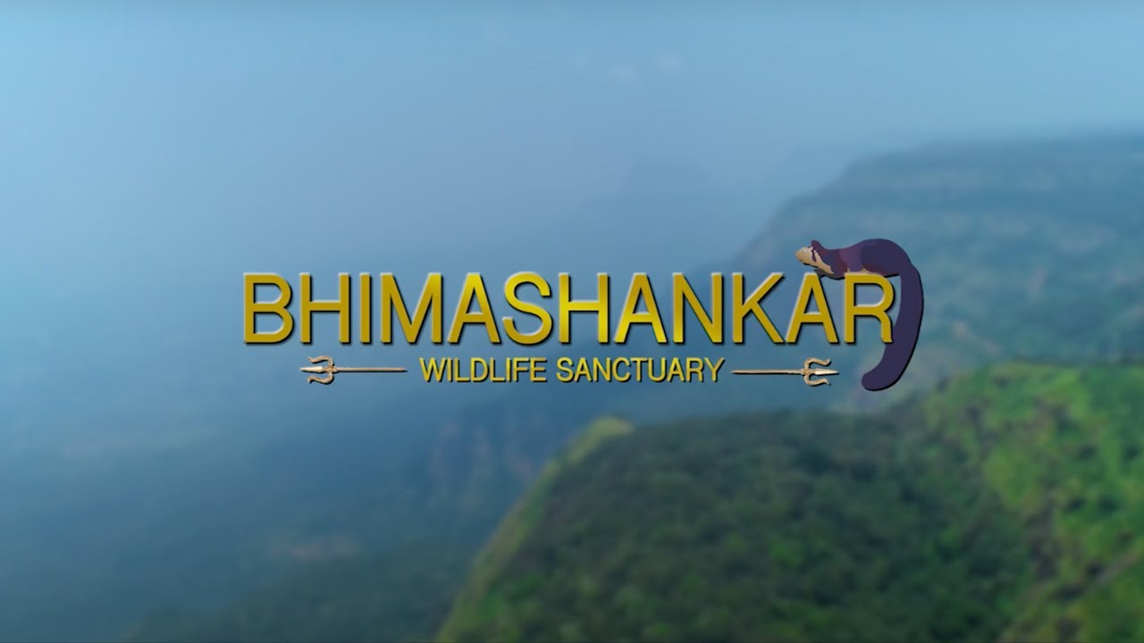Bhimashankar Wildlife Sanctuary Teaser | Pune Wildlife Division | AVF Production