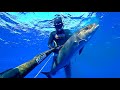 Spearfishing 2021 best shots shallow and deep !!