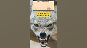 How Animal Population Interact with each other? | Organism & Population | NCERT NEET Biology