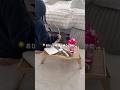 おひとり時間大好き#vlog #暮らしの日常 #暮らしのvlog #日常vlog #日常