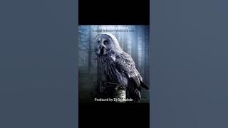 Download lagu Umoya Weyikhova By Dj Baphakele & Jr ighost ft Thobani Wodumo & Oriey