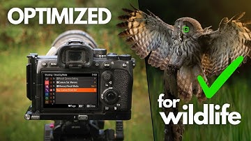 My Top 5 Sony Custom Functions - Bird & Wildlife Photography
