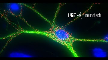 MIT Neurotech: From Neuron Signals to Behavior [Microelectrodes]