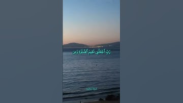 الشيخ_احمد_النفيس_سورة_إبراهِيم