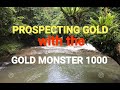 Prospecting JUNGLE RIVERS, with the Gold Monster 1000