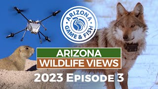 2023 Arizona Wildlife Views Episode 3  30 Minutes