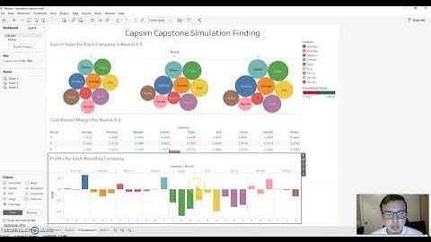 Tableau assignment for GEB 4890 (Bradley Fabretti u94949919)