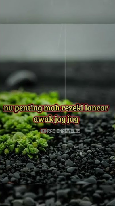 story' wa | HIRUP MAH TE GUDU TENAR NU PENTING REZEKI LANCAR‼️