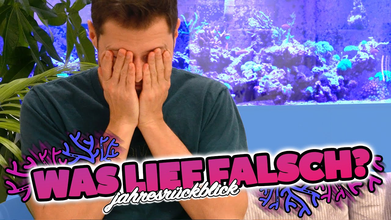 1 (trauriges) Jahr MEGA Aquarium! 🥵