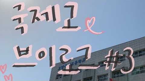 [국제고 vlog] 선배사랑은 나라사랑이애용🐱❤️