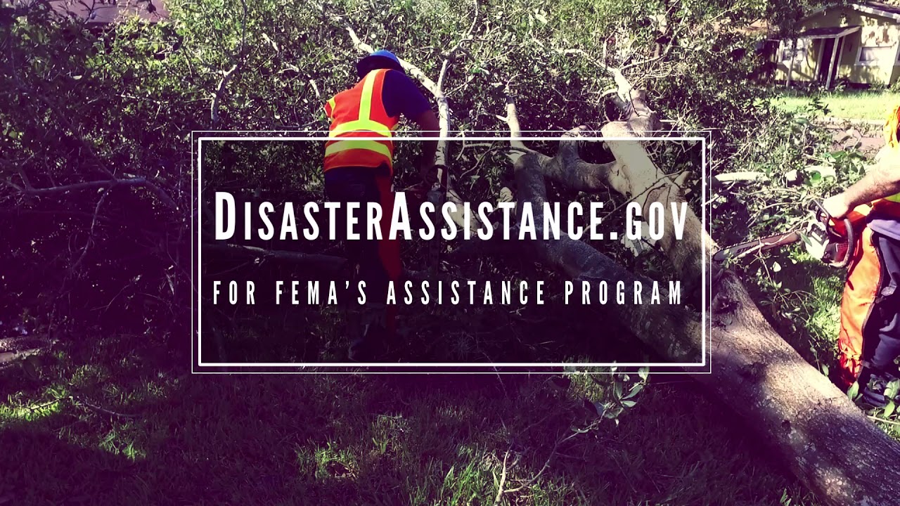 IRMA Recovery