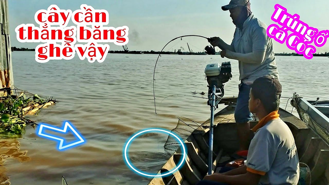 TRÚNG Ổ NỬA RỒI, KO NGỜ CÂU NGAY BẦY CÁ CÓC, DỰT MỎI TAY LUÔN - FISHING