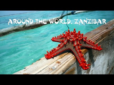 Обзор острова Занзибар в Танзании. Zanzibar review.